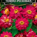 Цветы одн. Цинния "Мариландская Темно розовая" 15шт Аэлита