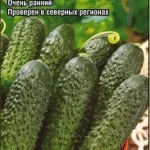 Огурец "Уран F1" 5шт СС