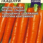 Морковь "Медовый Поцелуй" 2г СА